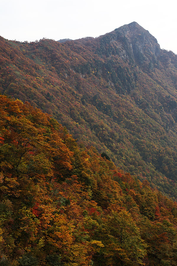 c0115616_182489.jpg