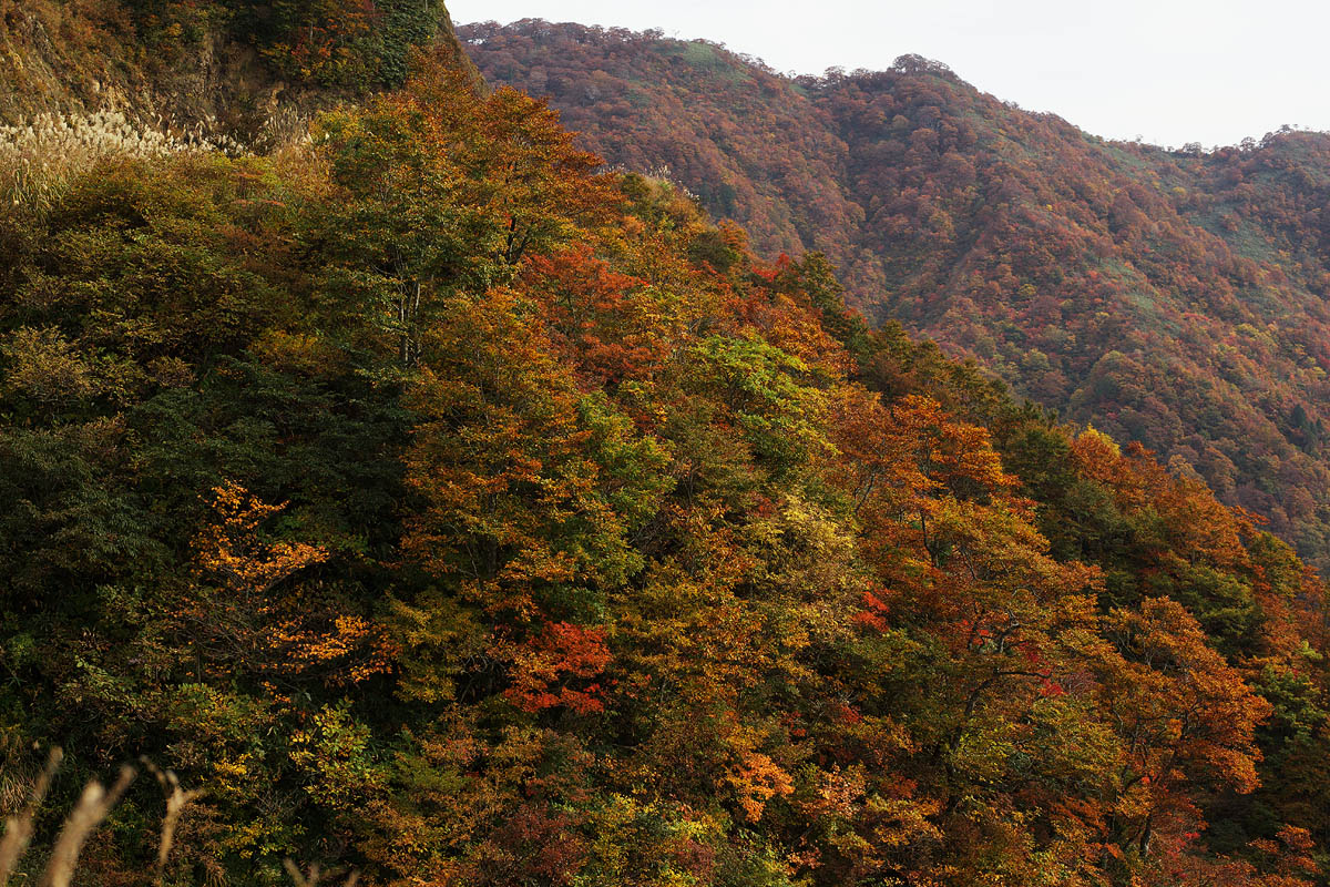 c0115616_1831433.jpg