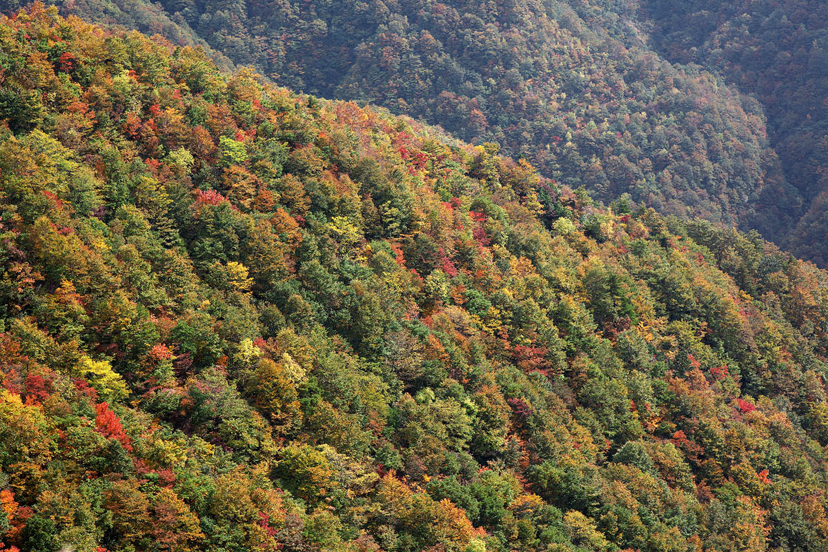 c0115616_183252.jpg