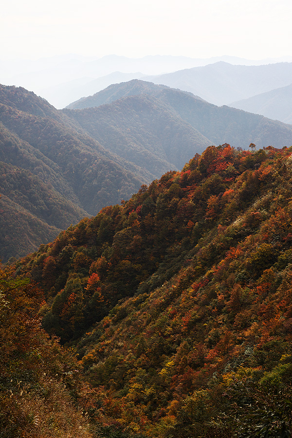 c0115616_183940.jpg