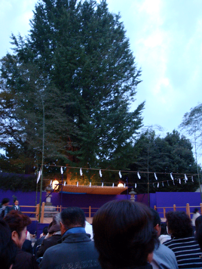 f0208017_13271117.gif