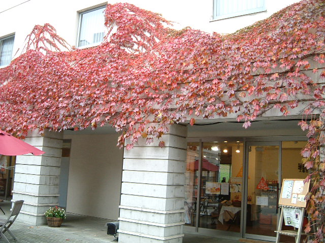 f0207320_17132352.jpg