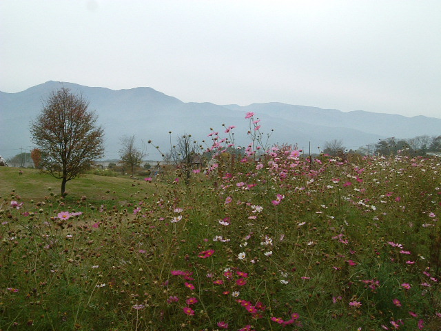 f0207320_1783041.jpg