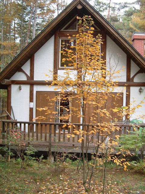 f0207320_18453668.jpg