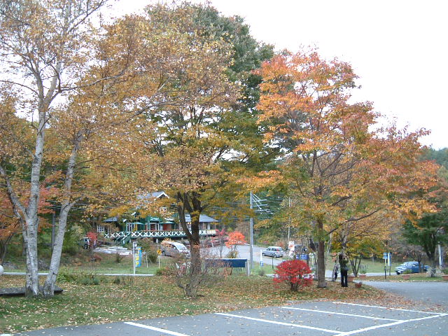 f0207320_2246649.jpg