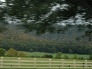 e0115325_9534797.jpg
