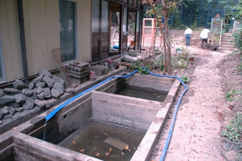 f0177529_80338.jpg