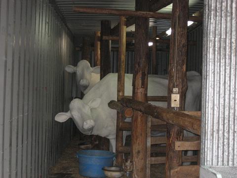 c0081032_20293730.jpg