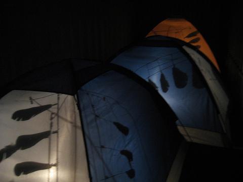 c0081032_20301128.jpg