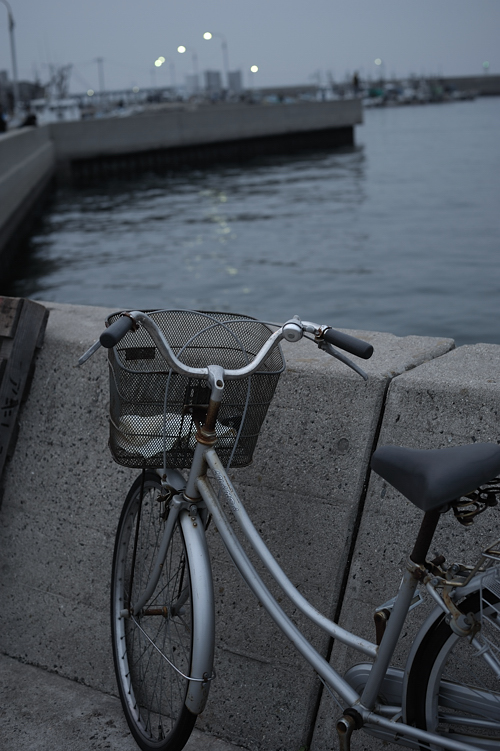 人待ち顔の自転車_f0129532_195327.jpg