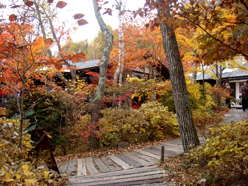 a0074033_8552544.jpg