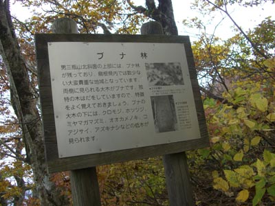 e0110940_1645449.jpg