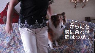 ころもがえ_e0195743_245582.jpg