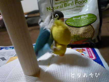 予防接種_e0147757_21385487.jpg