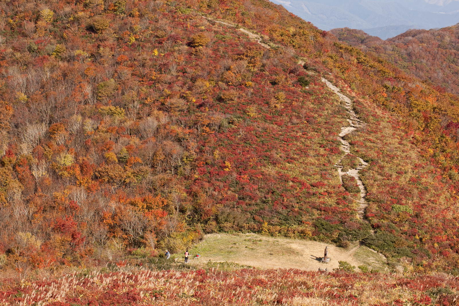 紅葉の比婆山・二_e0015567_1943616.jpg