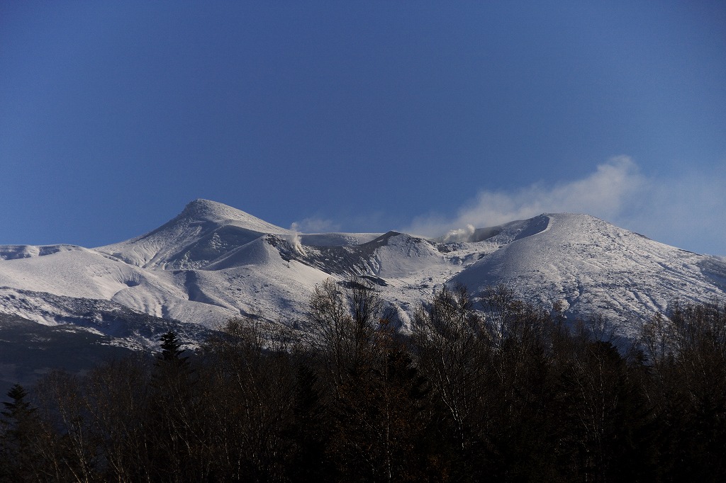 b0076972_11323557.jpg