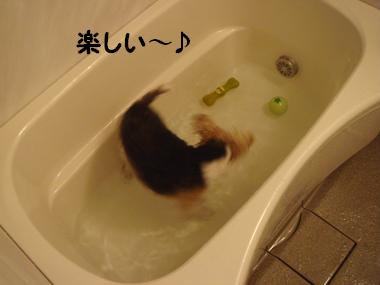 b0091373_02229.jpg