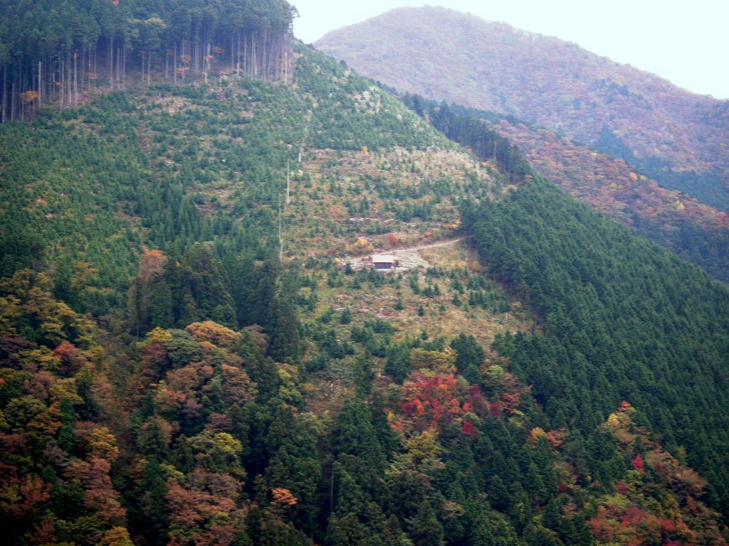 紅葉の綿向山～竜王山を歩く_b0185573_20114435.jpg