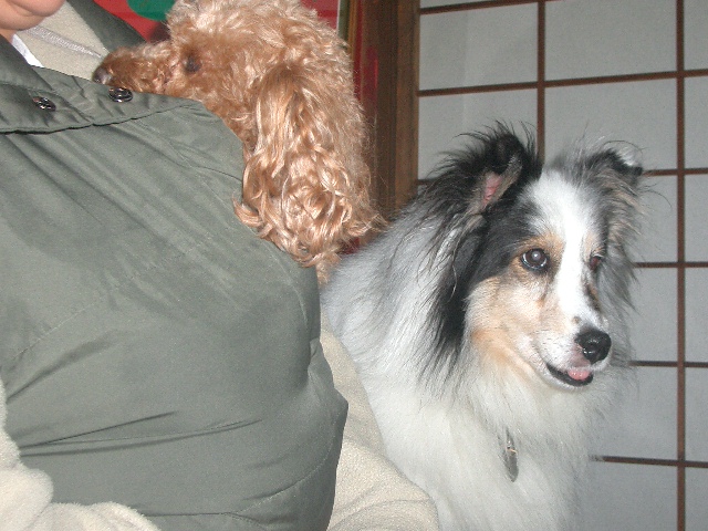 c0162773_1227123.jpg