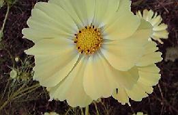 f0098680_2025883.jpg