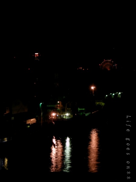 USJ　*　天保山夜景　。。oO_b0155684_5395529.jpg