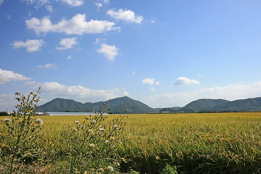 e0190885_19424934.jpg