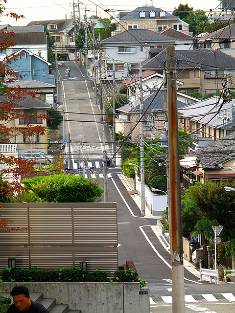 荏原台の川と水（２）洗足小池（大田区上池台）_c0163001_2315266.jpg