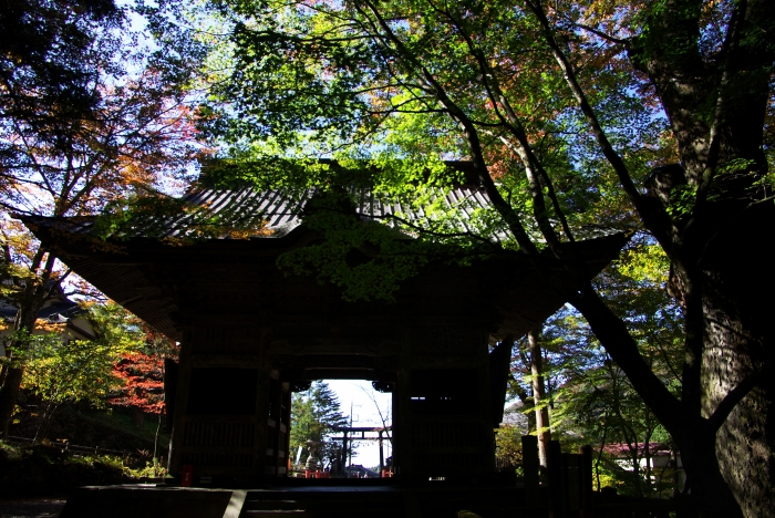 c0031105_1432841.jpg