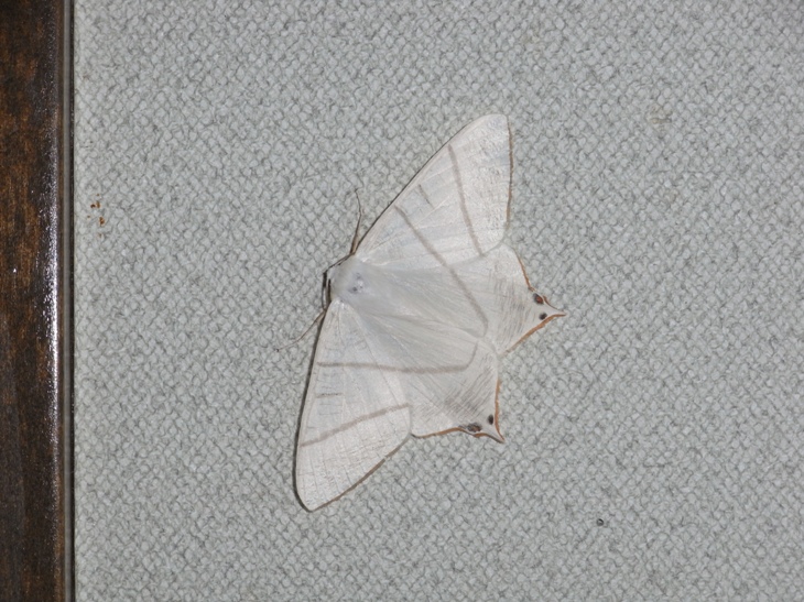 b0137208_20492365.jpg