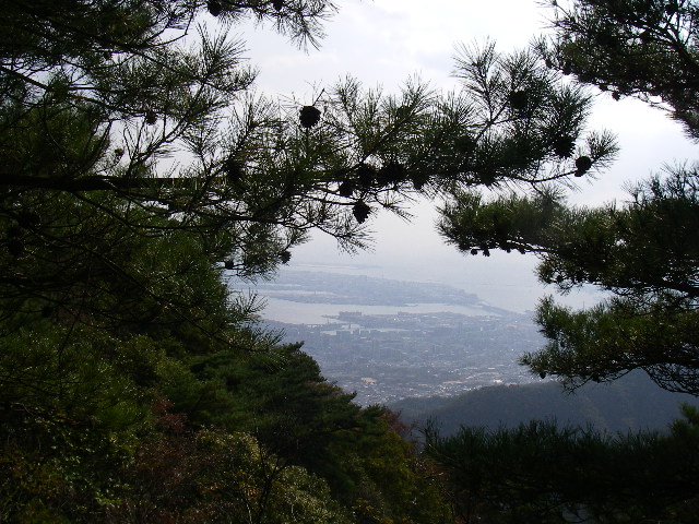 09.10.28(火) バックの中身は何かいな・・・_a0062810_1949260.jpg
