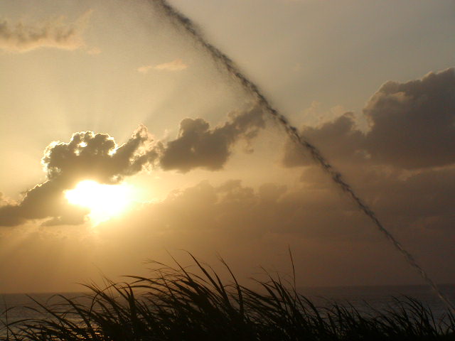 a0116010_1663265.jpg