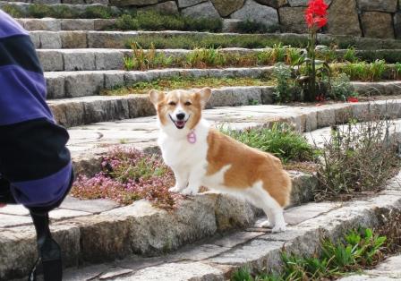 写真を撮ってもらいました~♪_f0155118_23271694.jpg