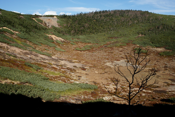 a0068424_0322727.jpg
