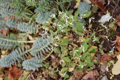 f0170524_15572082.jpg