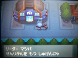 ポケットモンスターハートゴールドプレイ日記（エンジュジム戦）_a0120525_1491578.jpg