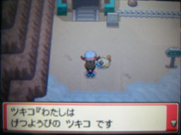 ポケットモンスターハートゴールドプレイ日記（エンジュジム戦）_a0120525_1593271.jpg