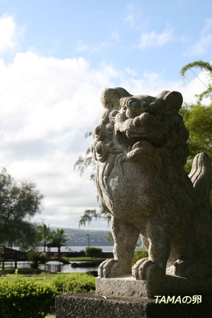 c0024729_22533352.jpg