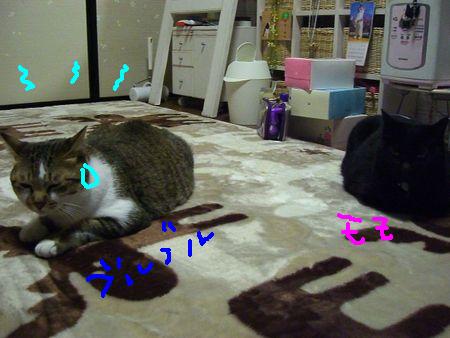 カニカマ大会の裏事情_a0099131_1583669.jpg
