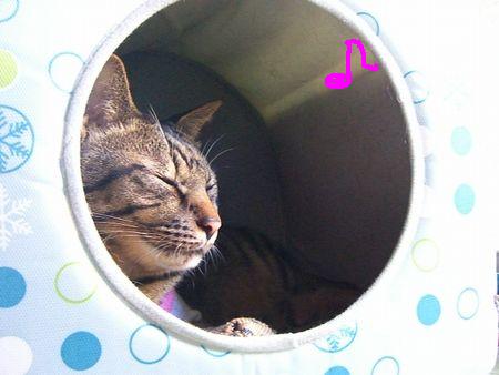 カニカマ大会の裏事情_a0099131_15912.jpg