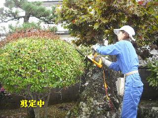 最短記録=標準時間_f0031037_18494050.jpg