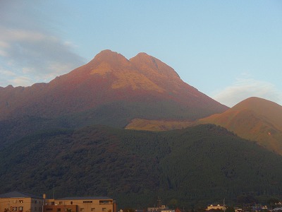 d0087639_2153827.jpg
