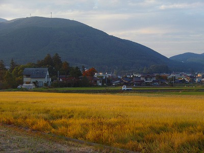 d0087639_22311382.jpg
