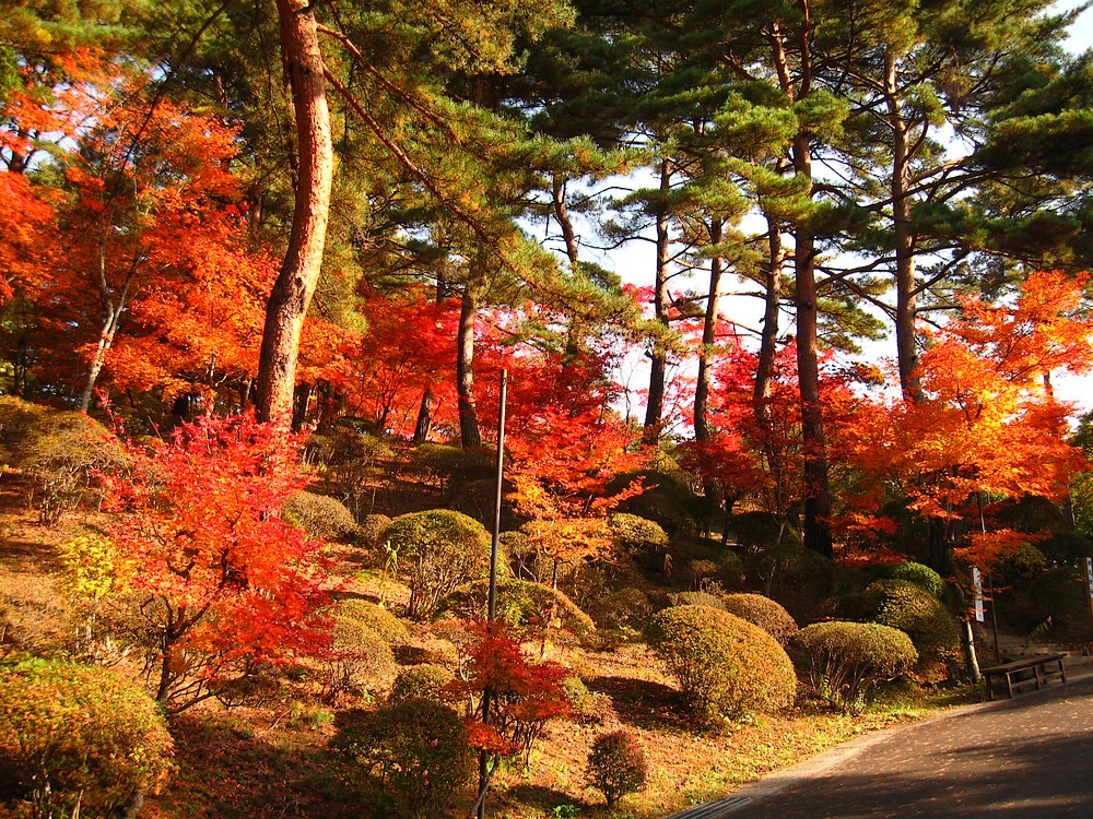 法門山福泉寺の「赤」　其の弐_d0001843_21513670.jpg