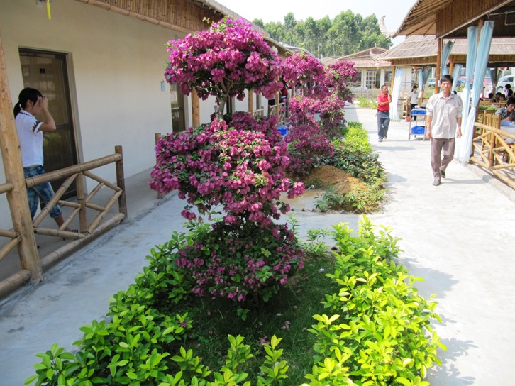 e0026744_91558.jpg