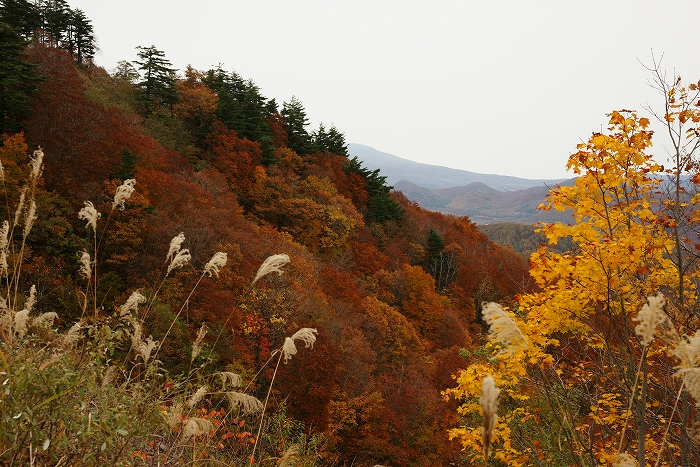 南東北ツーリング－①　紅葉を見にいこうよう（笑）_a0115050_10363952.jpg