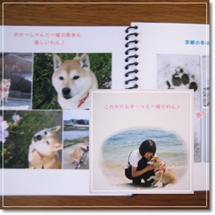 サイは幸せなわんこ_c0049950_20101138.jpg
