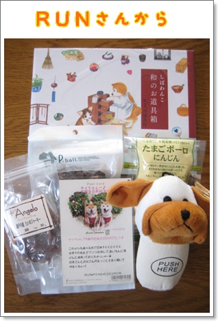 サイは幸せなわんこ_c0049950_20122276.jpg