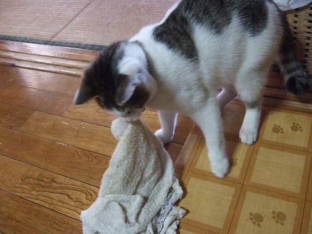 b0059860_1403832.jpg