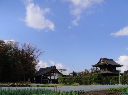c0108460_1437386.jpg