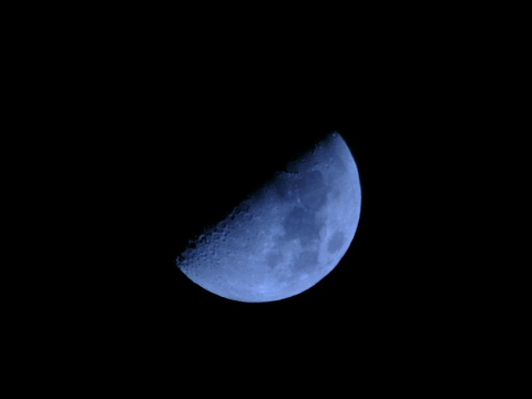 blue moon_e0045768_2244176.jpg